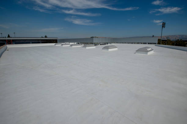 Best Hot Roofs  in Bloomville, OH
