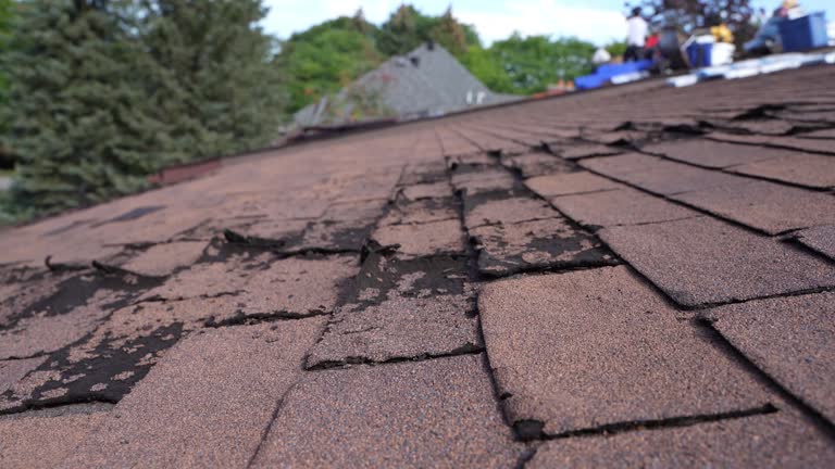 Steel Roofing in Bloomville, OH
