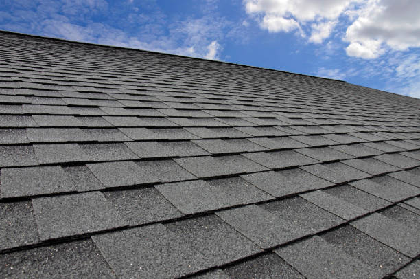 Best Sheet Metal Roofing  in Bloomville, OH