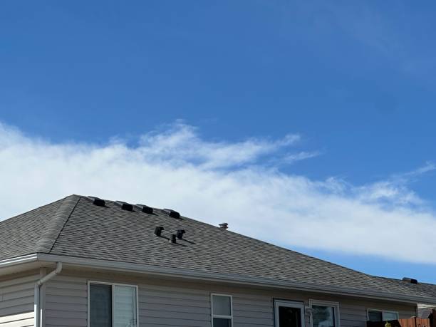 Best Roof Leak Repair  in Bloomville, OH
